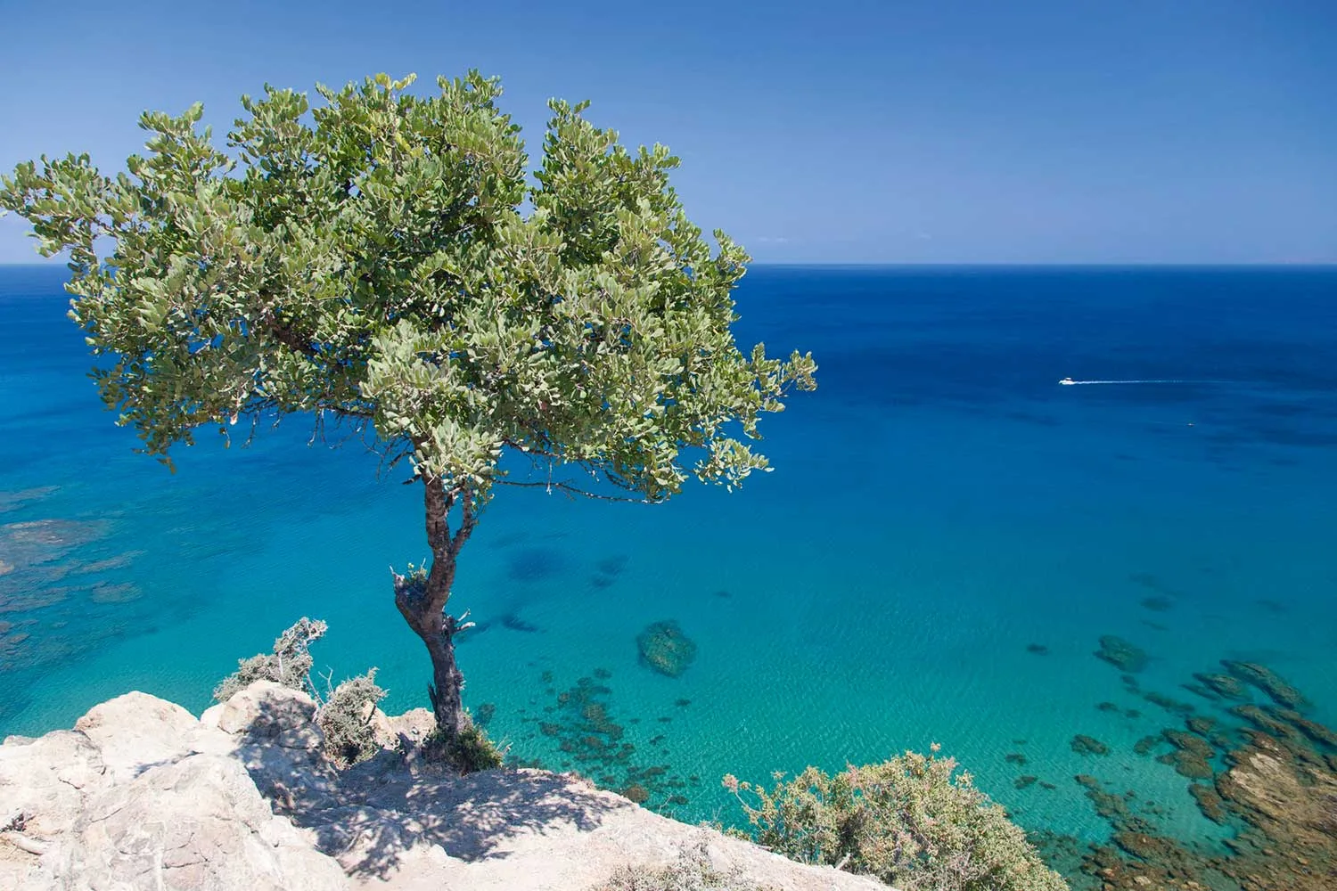 Klippenküste auf Zypern mit türkisblauem Mittelmeer